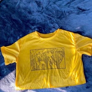 yellow cactus top